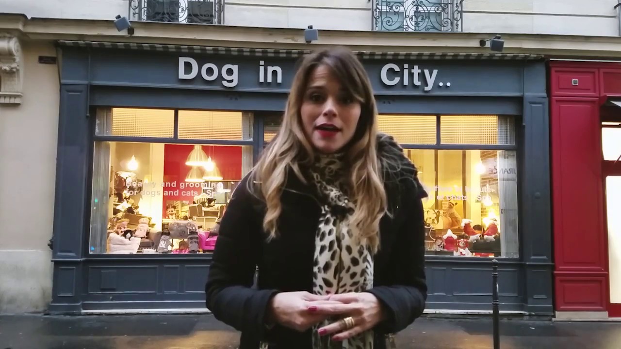 Telefone de Pet Shop Banho e Tosa Jd Paris - Pet Shop Próximo a