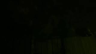 TimarBirdCAM — 20 April 2026 16:37-21:30