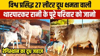 #Tharparkar की सबसे Best गाय रानी👍 27 लीटर दूध का Record👉 की पूरी Family का पूरा video पहली बार😍