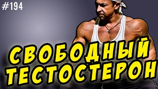 Свободный тестостерон. Общий тестостерон.