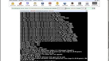 [QEMU/KVM/PXE] Installation d un serveur ubuntu 10.10 i386 automatiquement