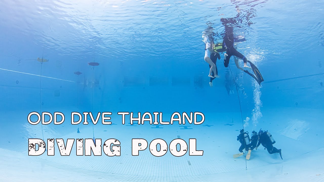 สระ SCUBA & FREE DIVE ( ODD DIVE THAILAND DIVING POOL ) YouTube