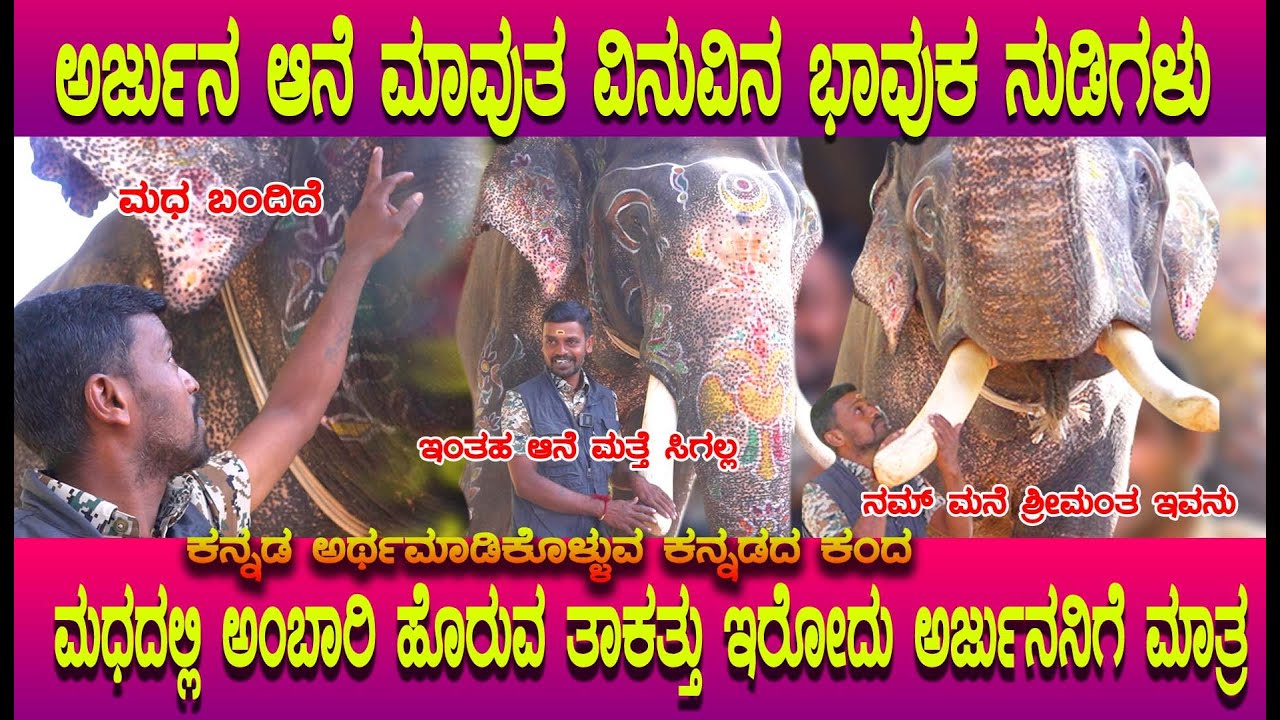 ಅರ್ಜುನನ ಬಗ್ಗೆ ಮಾವುತ ವಿನುವಿನ ಭಾವುಕ ನುಡಿ. ಇವನು ನಂಗೆ ಮರುಜನ್ಮಕೊಟ್ಟ, Love of Mahouta Vinu & Arjuna Mysore