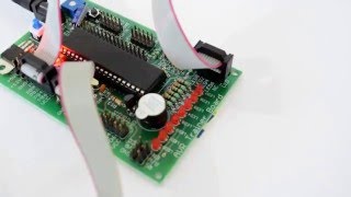 Celebrity LED Blinking with AVR ATmega32 Microcontroller by ABLab Solutions Net Worth