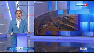 Начало утренних региональных Вестей (ГТРК Хабаровск, 23.05.23, 9:00)