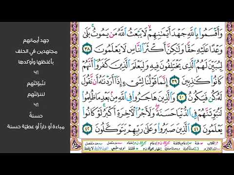 5 الصفحة 271 وقال الذين أشركوا لو شاء الله ما عبدنا من دونه من شيء ماهر المعيقلي مكررة 10 مرات