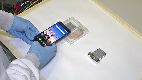 Sensors for Food Spoilage - Reuters Interview