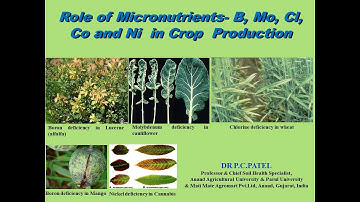 Role of Micronutrients- B, Mo, Cl, Co and Ni in Crop Production by Dr. P.C. Patel