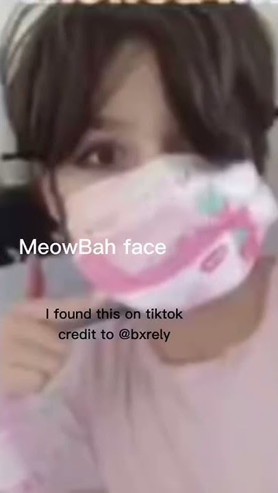 Meowmid Face - YouTube
