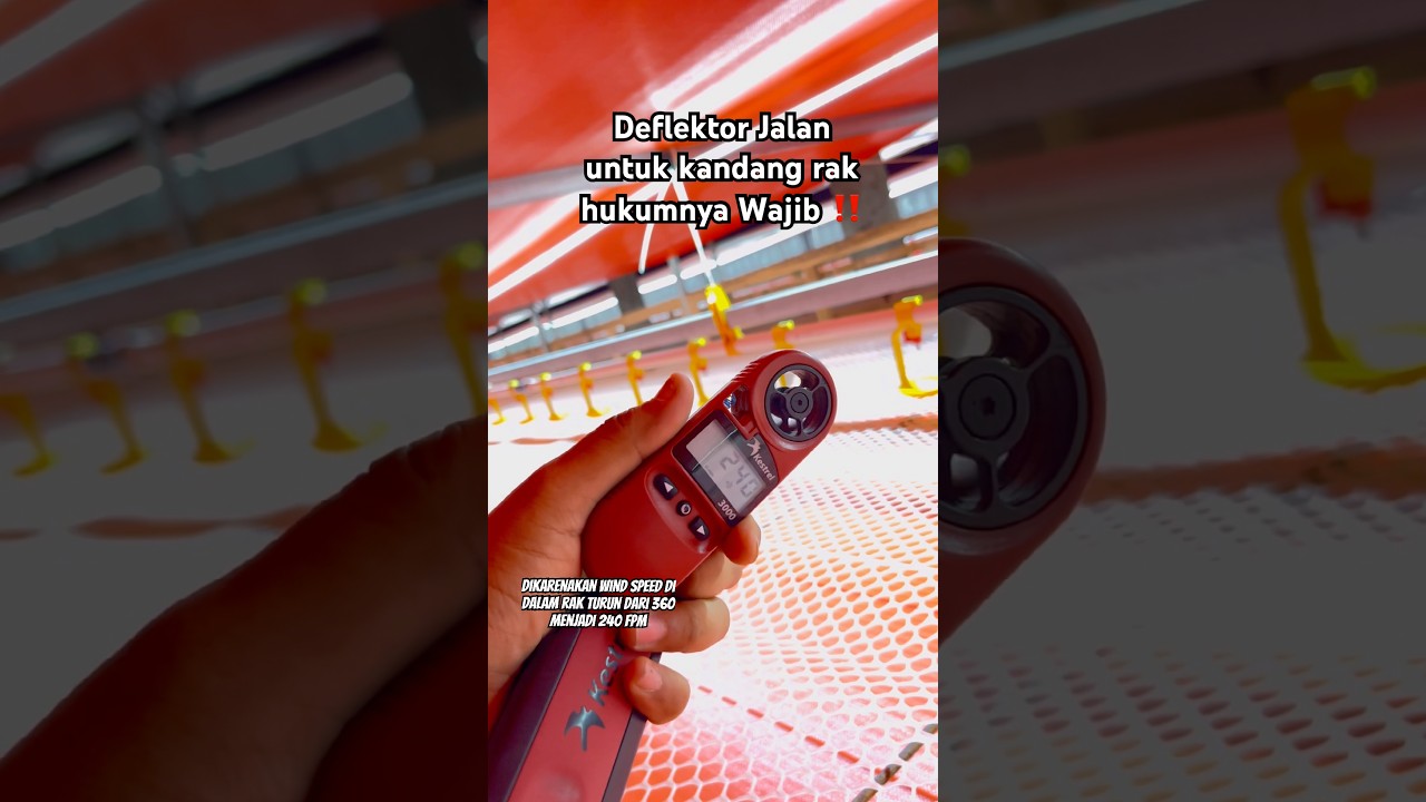 Pemberian deflektor jalan untuk kandang rak HUKUMNYA WAJIB ‼️ Untuk memaksimalkan wind speed