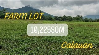 FARM LOT/COMMERCIAL*10,225sqm CALAUAN LAGUNA