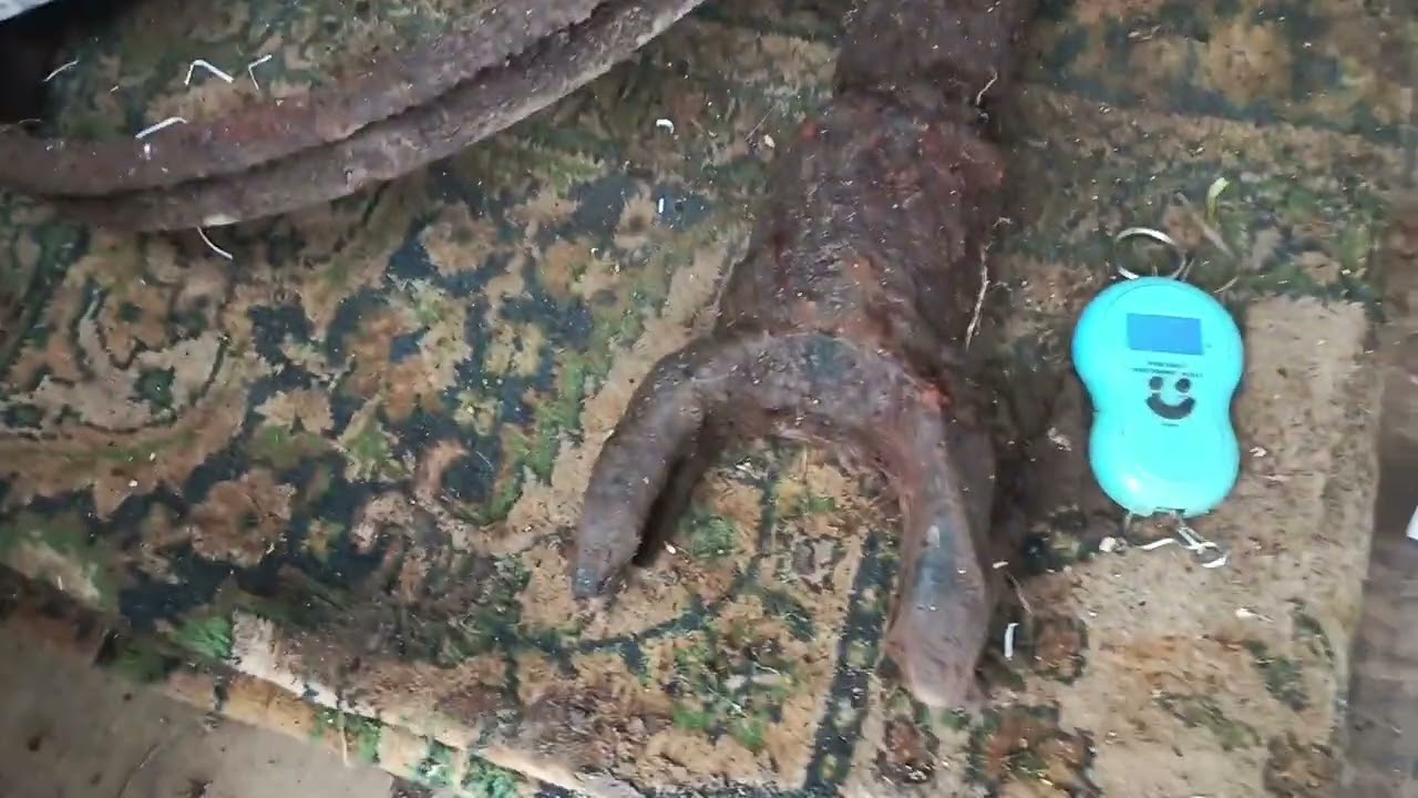 Открытие сезона 2026. Огонь 🔥