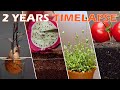 TOP 32 most beautyful timelapse I&#39;ve ever seen in 30 mins