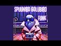 SPIJUNIRO GOLUBIRO FUNK SPIJUNIRO GOLUBIRO FUNK