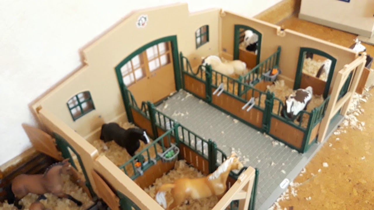 Pferd ab in deine Box🐴🐎Abospecial😙