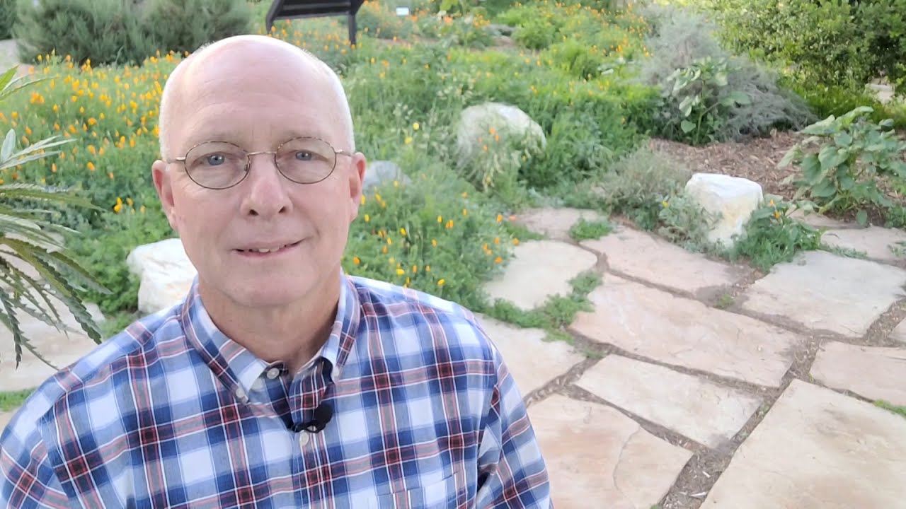 John 12 44 50 A Call To Faith YouTube john-12-44-50-a-call-to-faith-youtube