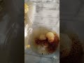 Patates Salatası Sosu #patatessalatası #food #asmr