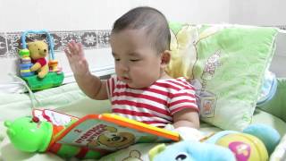 Felix 2015061801