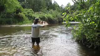 Canoeing the Pine River Michigan and other sites