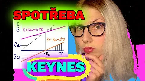 Jak funguje teorie spotřeby a investic?