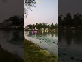 Beautiful Park Walk 🌳 | Nature Vibes & Relaxing Moments#Park #Nature #NatureLovers