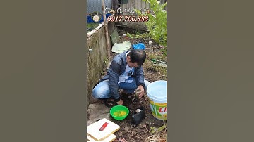 Tới Nơi Kiểm Tra Nước Giếng Xử Lý Thuốc & Thả Ốc Bươu Giống Cho Khách  Ở Gía Rai Bạc Liêu Cũ