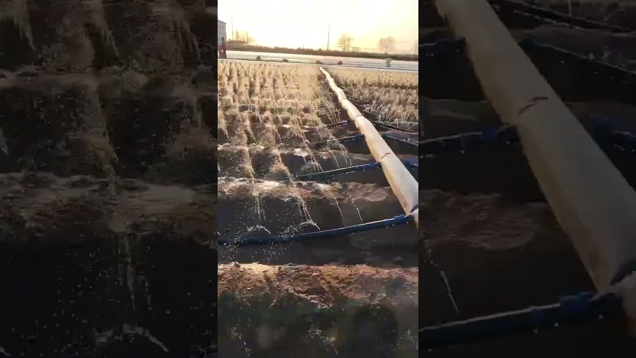 Water Conservation in Agriculture ✅ 