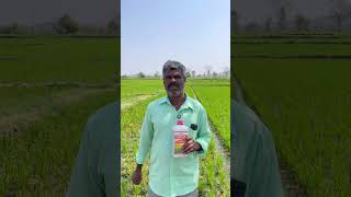 ORIVA FEEDBACK  #youtube #paddyfarming #herbicides #pixeling #instagram