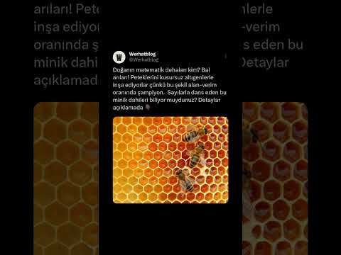 Doğanın matematik dehaları