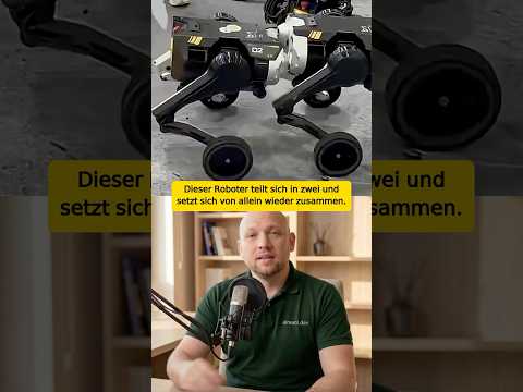 d1-roboter-teilt-sich-auf