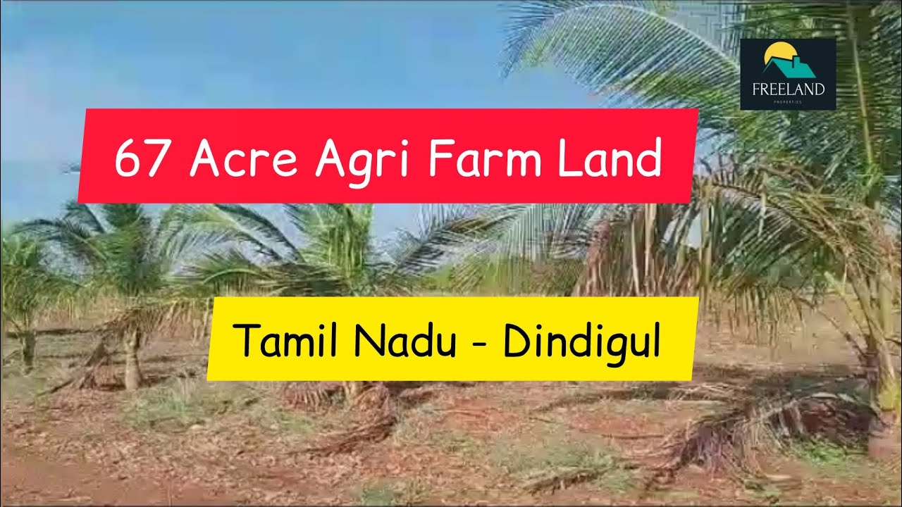 67 Acre Plain Agri Farm Land For Sale Dindigul Tamil Nadu YouTube