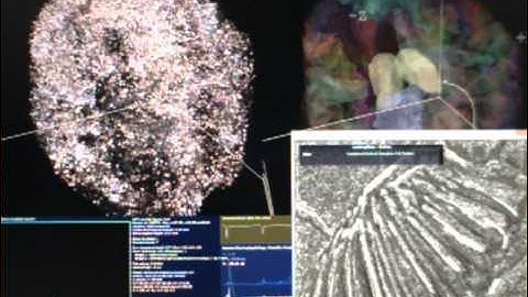 DigiCortex Artificial Brain Simulation - Retina Module Demonstration