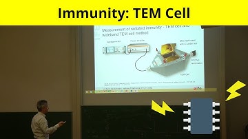 Immunity: TEM Cell
