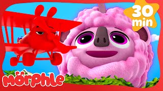 sleepy sheepy morphle fun cartoon videos kids animation