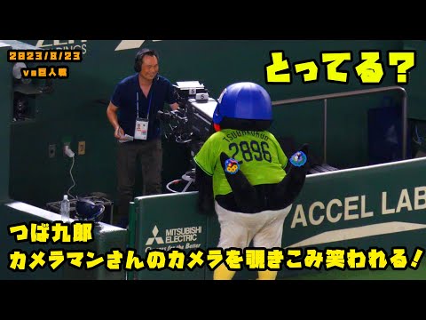 つば九郎　カメラマンさんのカメラを覗きこみ笑われる！　2023/8/23 vs巨人
