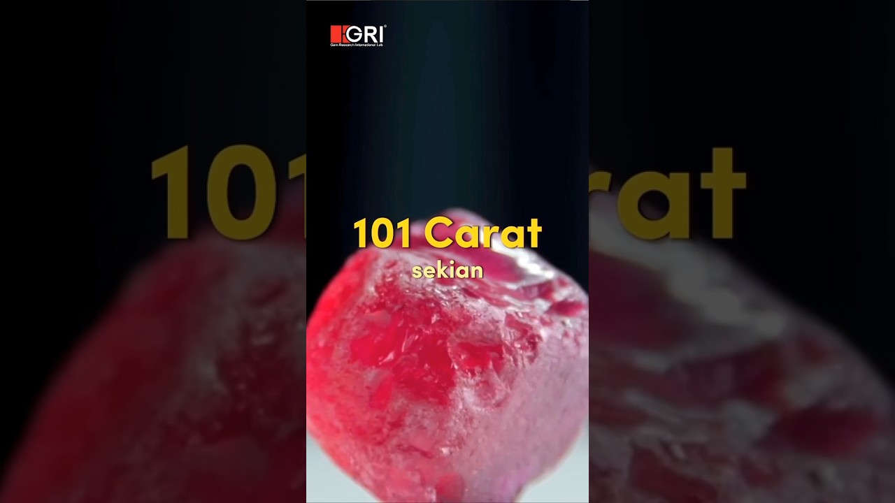 NEW WORLD RECORD RUBY TERMAHAL DI DUNIA! PART 1 