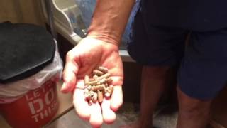 Toilet Talk! A super simple composting toilet A simple, no stink, inexpensive composting toilet for your campervan. Really, if you use the right "stuff", it doesn