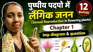 Class12 Biology Chapter 1🎯🌺| पुस्पीय पदपो में लैंगिक जनन | Sexual Reproduction in flowering plants |