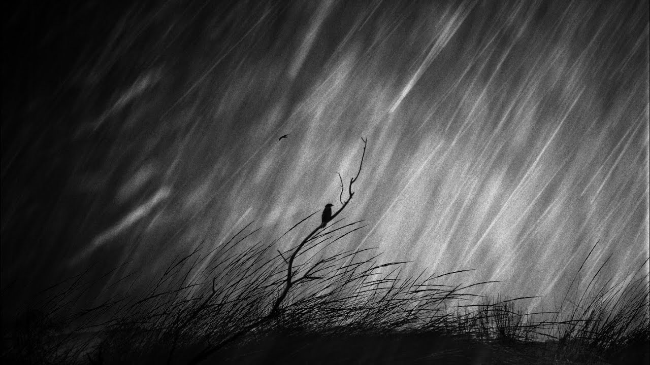 ASC Black Rain YouTube