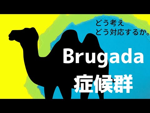 【心電図】 Brugada症候群 ブルガダ症候群 どう対応する