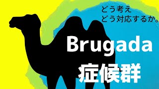 【心電図】 Brugada症候群 ブルガダ症候群 どう対応する