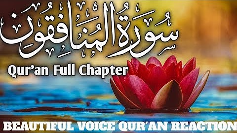| سورة المنافقون | surah al munafiqun tadabbur daily |  سورة المنافقون ابراهيم الاخضر |