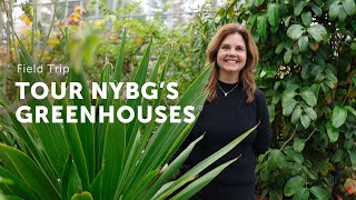 Go Behind NYBG's 1-Acre GREENHOUSES - Ep. 353