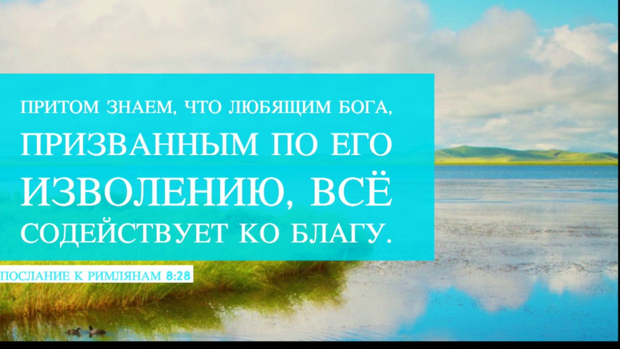 Все содействует ко благу. Любящим Бога все содействует ко благу к Римлянам. Любящим Господа призванным по его изволению все содействует ко благу. Притом знаем что любящим Бога. Все содействует ко благу Библия.