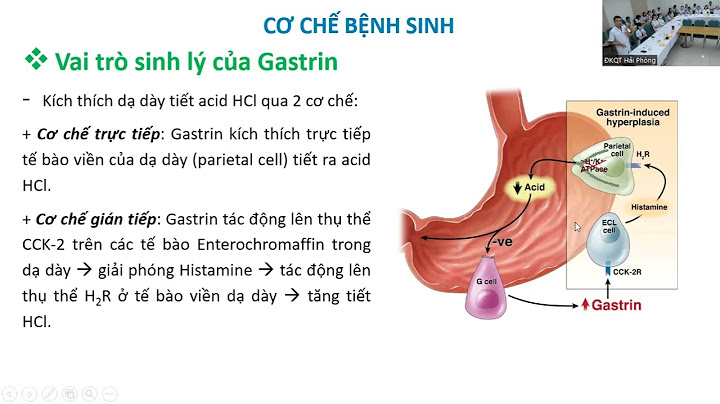 Hội chứng zollinger ellison là bệnh gì năm 2024