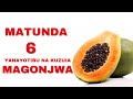 MATUNDA 6 YAYAYOTIBU NA KUZUIA MAGONJWA