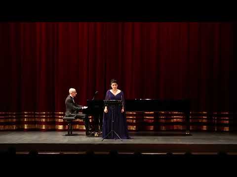 Dünyaca ünlü soprano Pervin Chakar İstanbul'da konser verdi I Özgür özel ve Pervin Buldan detayı