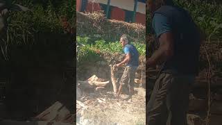 Lust stories of the 65 years old woodcutter
