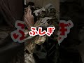 就寝前の最後の苦行