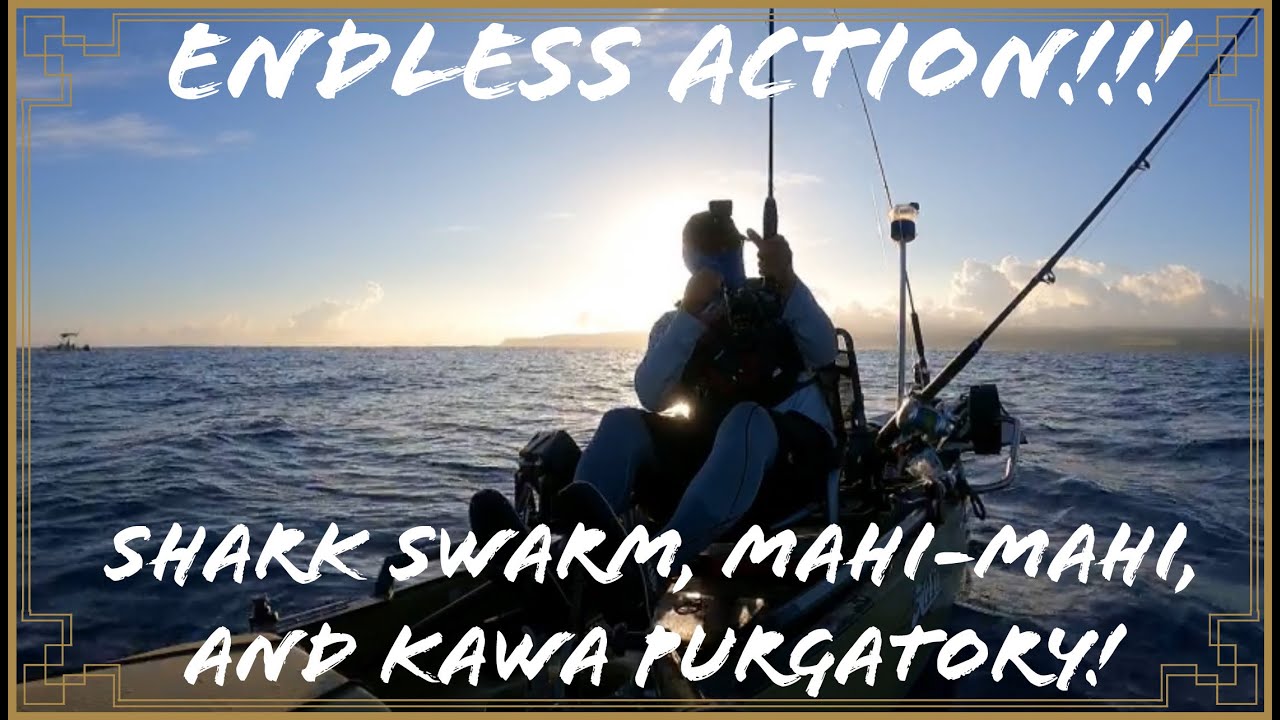 Kawa Purgatory, Mahimahi, and a Shark Swarm! Kayak Fishing Hawaii YouTube